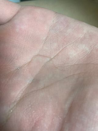 dnsosl님이 올린 리뷰 사진 1