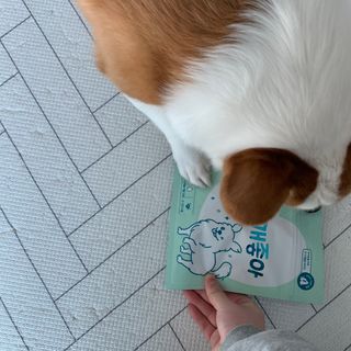 뜽또님이 올린 리뷰 사진 3