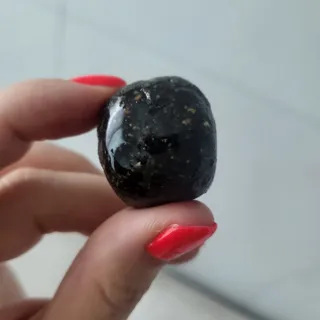 댑빵이님이 올린 리뷰 사진 4