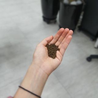 정보영님이 올린 리뷰 사진 2