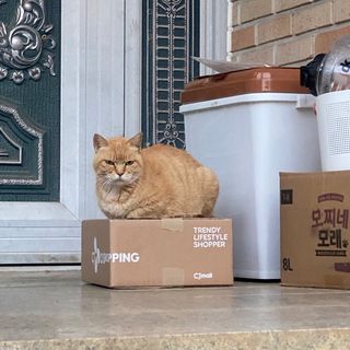 보니보니님이 올린 리뷰 사진 3