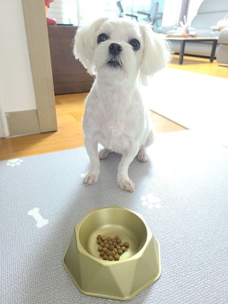 쮸디님이 올린 리뷰 사진 1