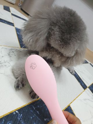 디카페인님이 올린 리뷰 사진 2