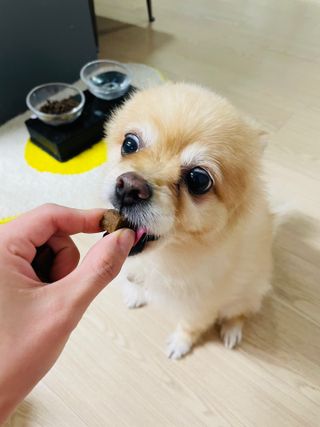 쿠키쿠님이 올린 리뷰 사진 2