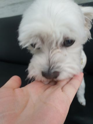 psj6667님이 올린 리뷰 사진 1