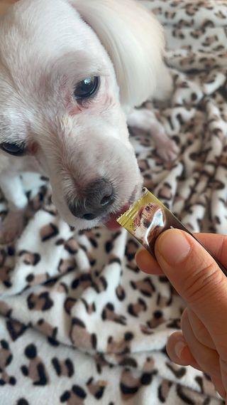 달콩리치님이 올린 리뷰 사진 4