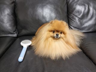 아롱이님이 올린 리뷰 사진 4