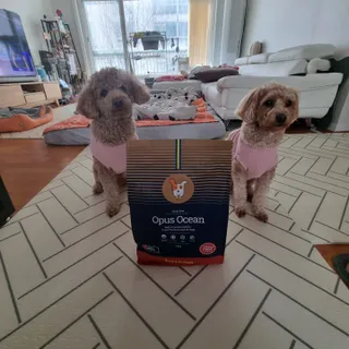 기린짱맘님이 올린 리뷰 사진 2