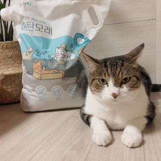 트윙클J님이 올린 리뷰 사진 2