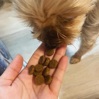영이님이 올린 리뷰 사진 3