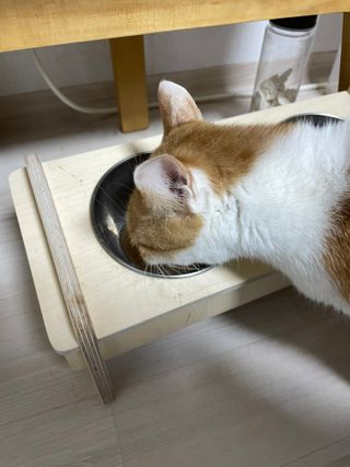 hailey님이 올린 리뷰 사진 3
