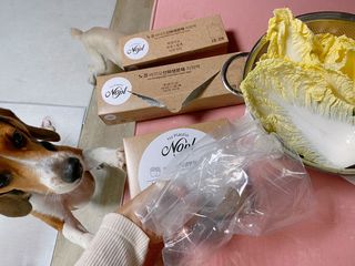 노플(NOPL) 노플 친환경 바이오 산화 생분해  항균 일회용 위생 비닐장갑 100매 + 지퍼백 소형, 대형 — 5점을 준 리뷰어가 2021년 10월 올린 사용 사진