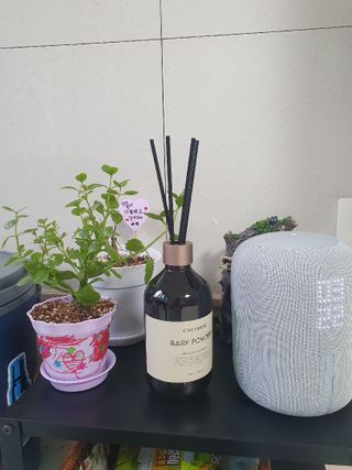 [코코도르] 프리미엄디퓨저500ml_2개입 1ea+리필액500ml*2ea+신향 리필액 200ml*1ea — 5점을 준 리뷰어가 2024년 10월 올린 사용 사진
