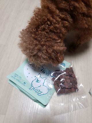 My Pet Care 천연단백질 눈건강에 개좋아 — 5점을 준 리뷰어가 2020년 12월 올린 사용 사진
