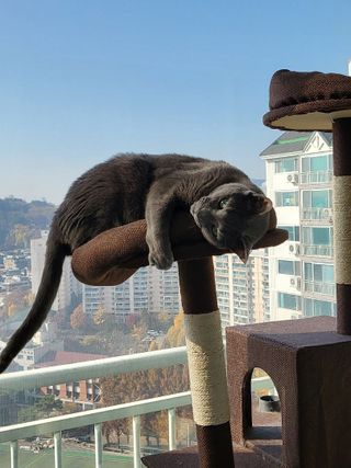 먀옹먕먕님이 올린 리뷰 사진 1