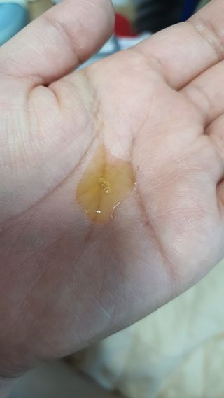 손바닥님이 올린 리뷰 사진 3
