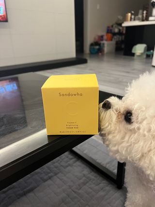 큐리님이 올린 리뷰 사진 1