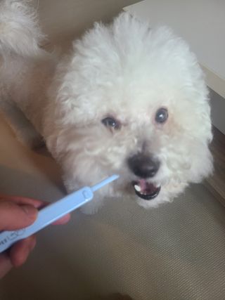 바다님이 올린 리뷰 사진 1