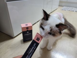ssun0514님이 올린 리뷰 사진 3