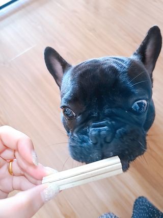 페페로니 클린플러스 덴탈치킨껌 10g x 14p — 5점을 준 리뷰어가 2021년 7월 올린 사용 사진
