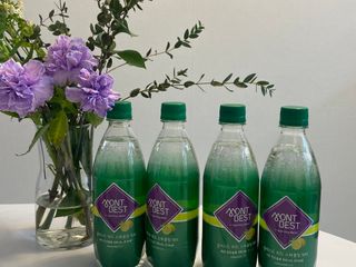 몽베스트 Montbest with Sparkling water Lemon OR Lime 20병(랜덤) — 5점을 준 리뷰어가 2022년 10월 올린 사용 사진