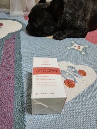펫21 그로그로 5종 강아지 고양이 반려동물 한방 영양제 — 5점을 준 리뷰어가 2021년 11월 올린 사용 사진