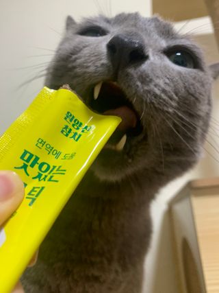 냥냥이님이 올린 리뷰 사진 2
