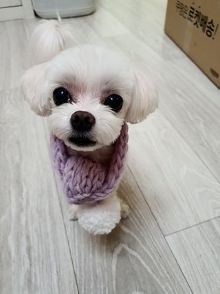 라임님이 올린 리뷰 사진 2