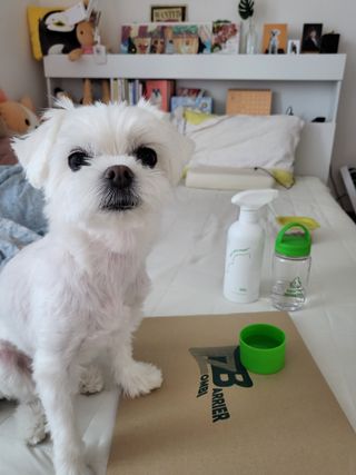 뽀오오옹님이 올린 리뷰 사진 2