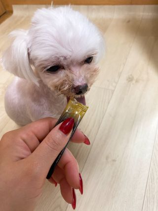 마이츄님이 올린 리뷰 사진 3