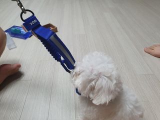 엘쏘둥님이 올린 리뷰 사진 3