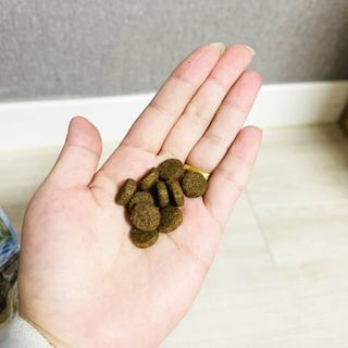 써니곰님이 올린 리뷰 사진 3