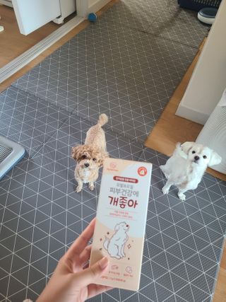 My Pet Care 모발과 모질 피부건강에 개좋아 — 5점을 준 리뷰어가 2021년 1월 올린 사용 사진