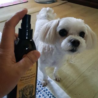 쓸언니님이 올린 리뷰 사진 3