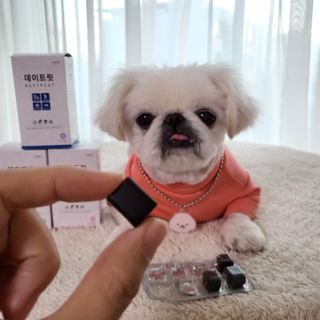 mini unni님이 올린 리뷰 사진 1