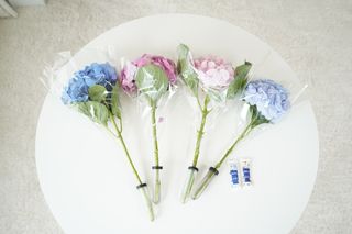 루빈님이 올린 리뷰 사진 2