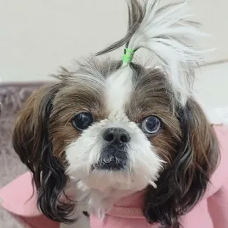 노이님이 올린 리뷰 사진 2