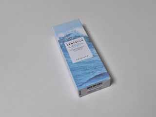 [스킨1004] 마다가스카르 센텔라 히알루-시카 워터핏 선세럼 50ml — 5점을 준 리뷰어가 2024년 5월 올린 사용 사진