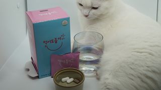 도르방구님이 올린 리뷰 사진 2