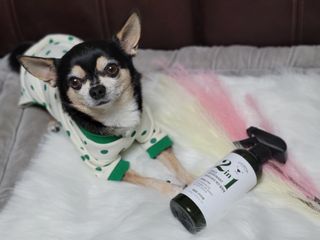 깜초네님이 올린 리뷰 사진 1