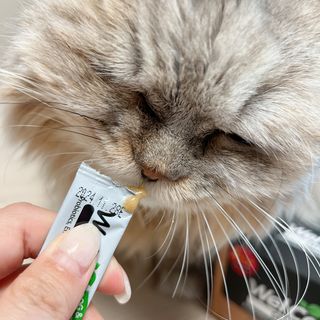 블랑님이 올린 리뷰 사진 4