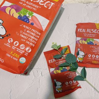 [푸디웜] 라포그  리얼인섹트 관절 저알러지 강아지 사료  1.2KG — 5점을 준 리뷰어가 2022년 8월 올린 사용 사진