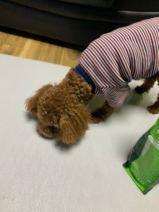 KellyChoi님이 올린 리뷰 사진 2