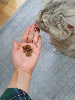 쌀보리냥님이 올린 리뷰 사진 4