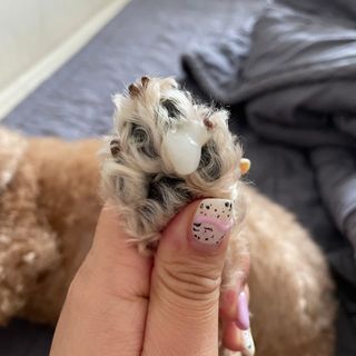 쁘야맘님이 올린 리뷰 사진 2