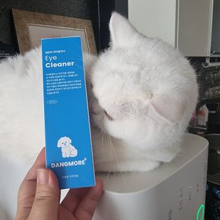 [댕모어 클리너 3종] 아이클리너 / 이어클리너 / 덴탈클리너 3종 세트 (120ml) — 5점을 준 리뷰어가 2023년 11월 올린 사용 사진