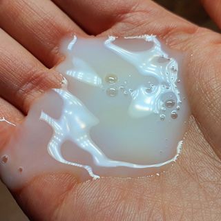 방방곳곳 편림초 마이크로바이옴 샴푸 — 5점을 준 리뷰어가 2022년 6월 올린 사용 사진