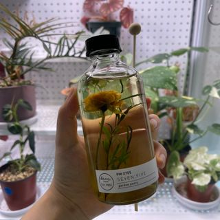 디어포레스트 숲속의 시간 디퓨저 시리즈 — 4.5점을 준 리뷰어가 2022년 8월 올린 사용 사진