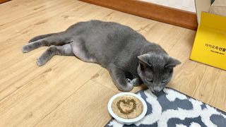 뿡빵이님이 올린 리뷰 사진 1