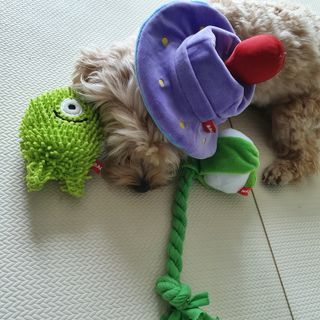 아코맘님이 올린 리뷰 사진 1